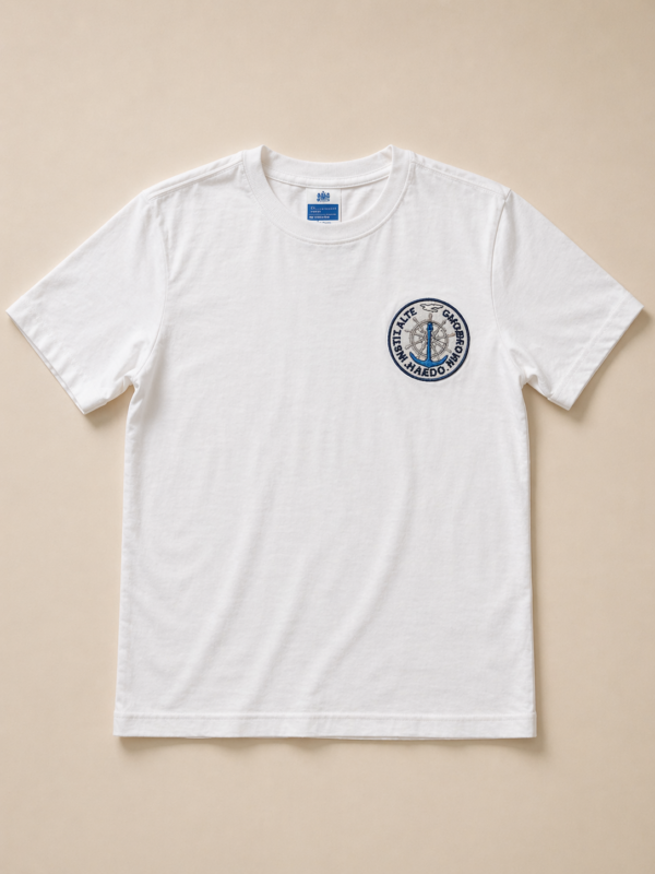 Remera blanca uniforme Instituto Alte. Guillermo Brown