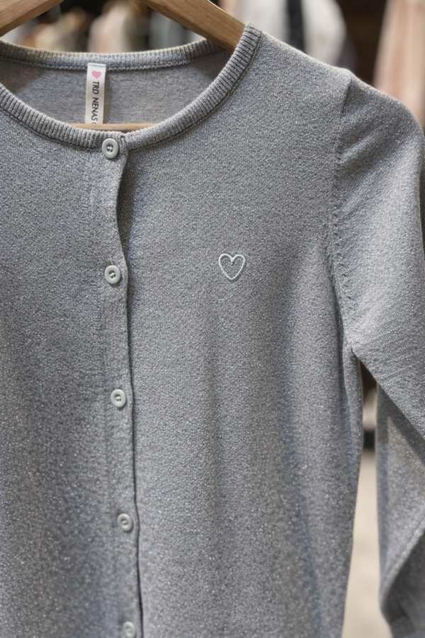 Cardigan gris claro