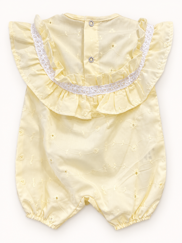 Enterito de broderie