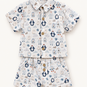 5fcead41-1ca6-410d-845b-d6f49447ad0c Conjunto Pinguinos