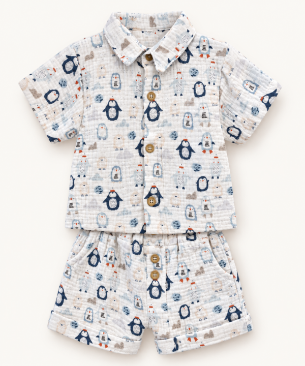 5fcead41-1ca6-410d-845b-d6f49447ad0c Conjunto Pinguinos