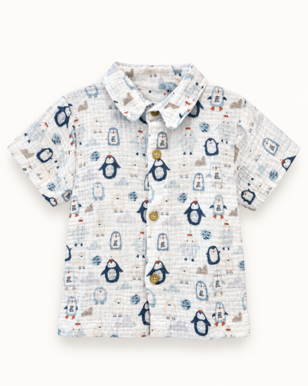 9f202b26-6507-4f15-b945-0f3bd238d41e Conjunto Pinguinos