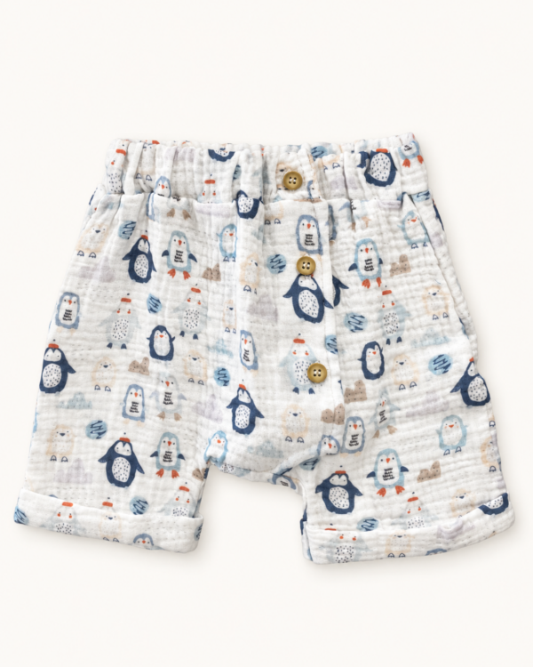 ebdce3e4-76a7-4f6d-aac2-6bb600b11ec9 Conjunto Pinguinos