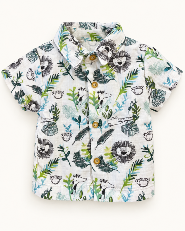 f2d81f07-d7bd-4199-81fc-c81016729d42 Conjunto Tropical